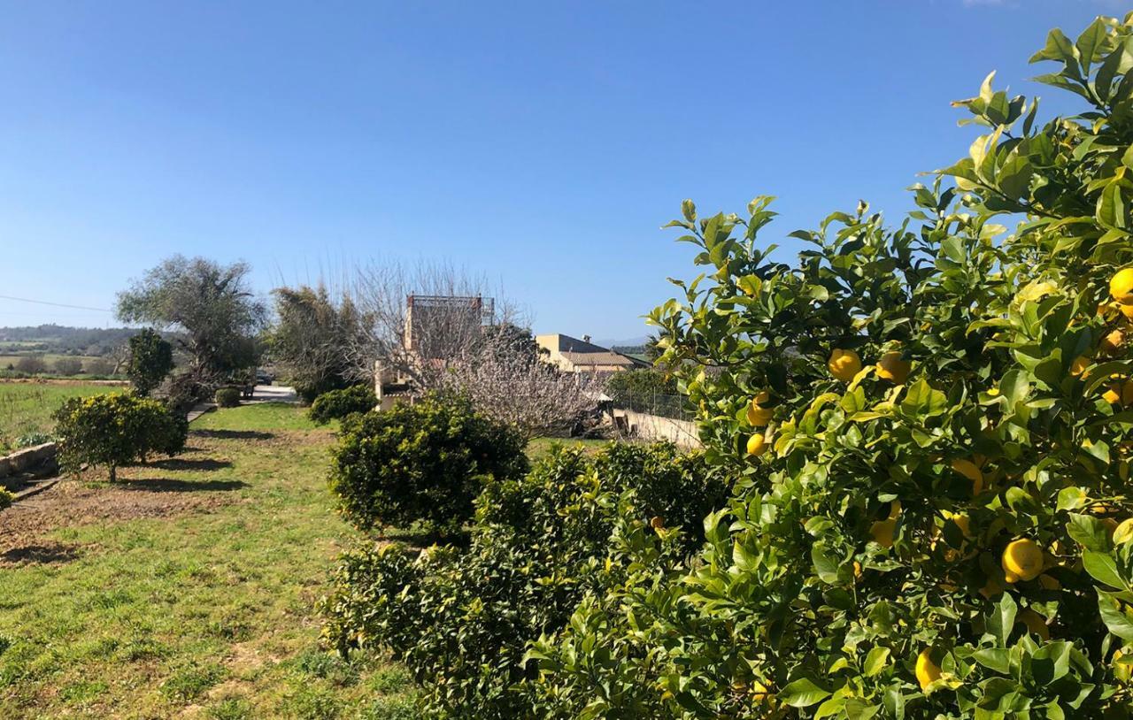 Son Roig ,Beautiful Place In The Heart Of Mallorca -Etv 9979 María de la Salud Exterior foto