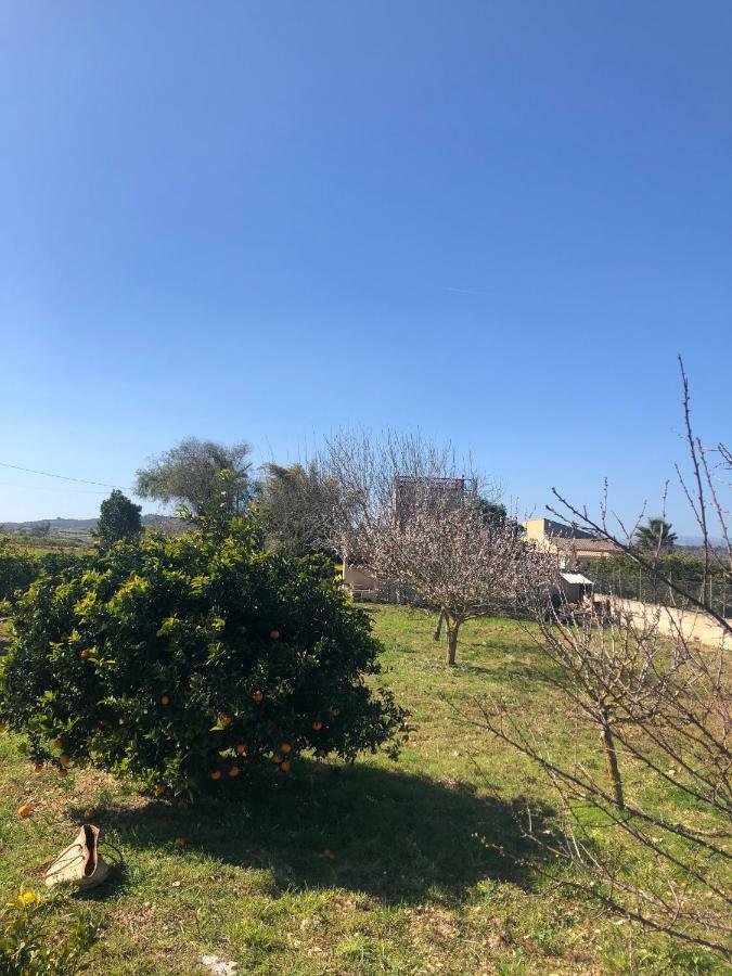 Son Roig ,Beautiful Place In The Heart Of Mallorca -Etv 9979 María de la Salud Exterior foto